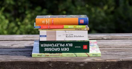 Auf den Bild sehen Sie mehrere Pilzbücher: Grundkurs Pilzbestimmung; Welcher Pilz ist das?; 10 Pilze; Der große Kosmos Pilzführer; Der große BLV Pilzführer; Die geheimnisvolle Welt der Pilze