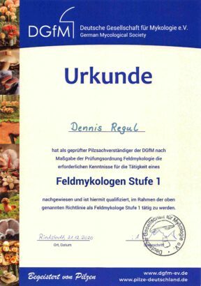 Feldmykologen-Urkunde von Dennis Regul